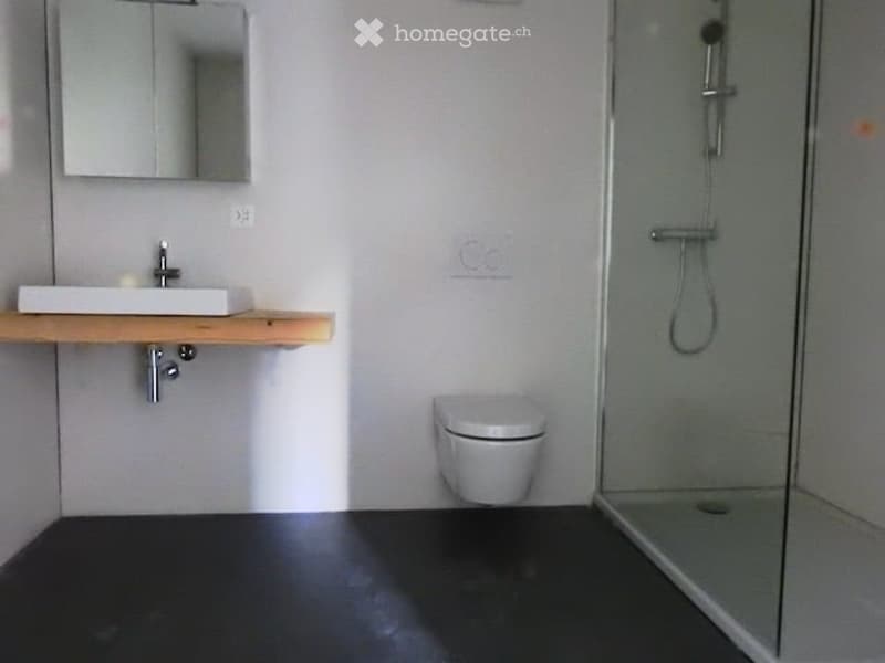 Modern bathroom with a white sink, mirror, toilet, and glass-enclosed shower. The floor is dark grey, and the walls are white.
