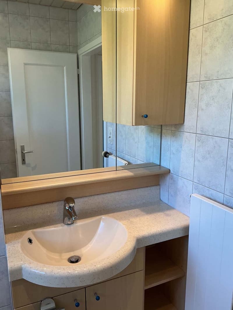 Modern bathroom with a white sink, chrome faucet, large mirror, and wooden cabinet.