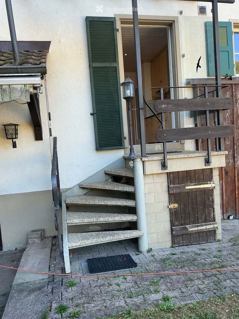 Staircase leading to a raised ground floor entrance with a wooden door and green shutters visible on the building facade.