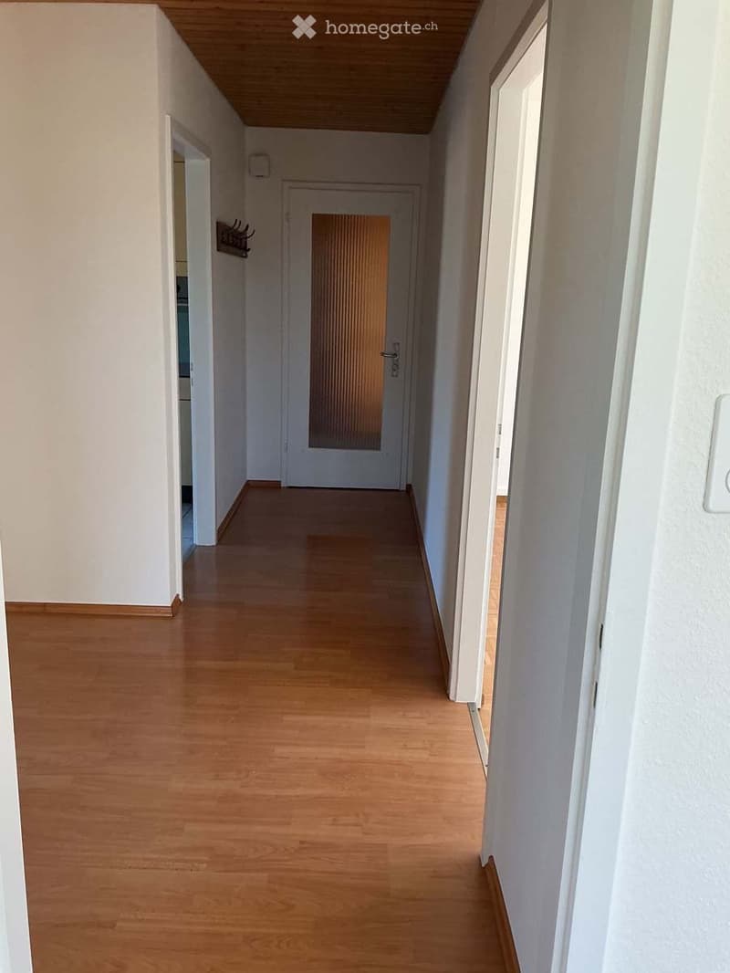 Empty hallway with wooden flooring, white walls, and a closed door at the end.