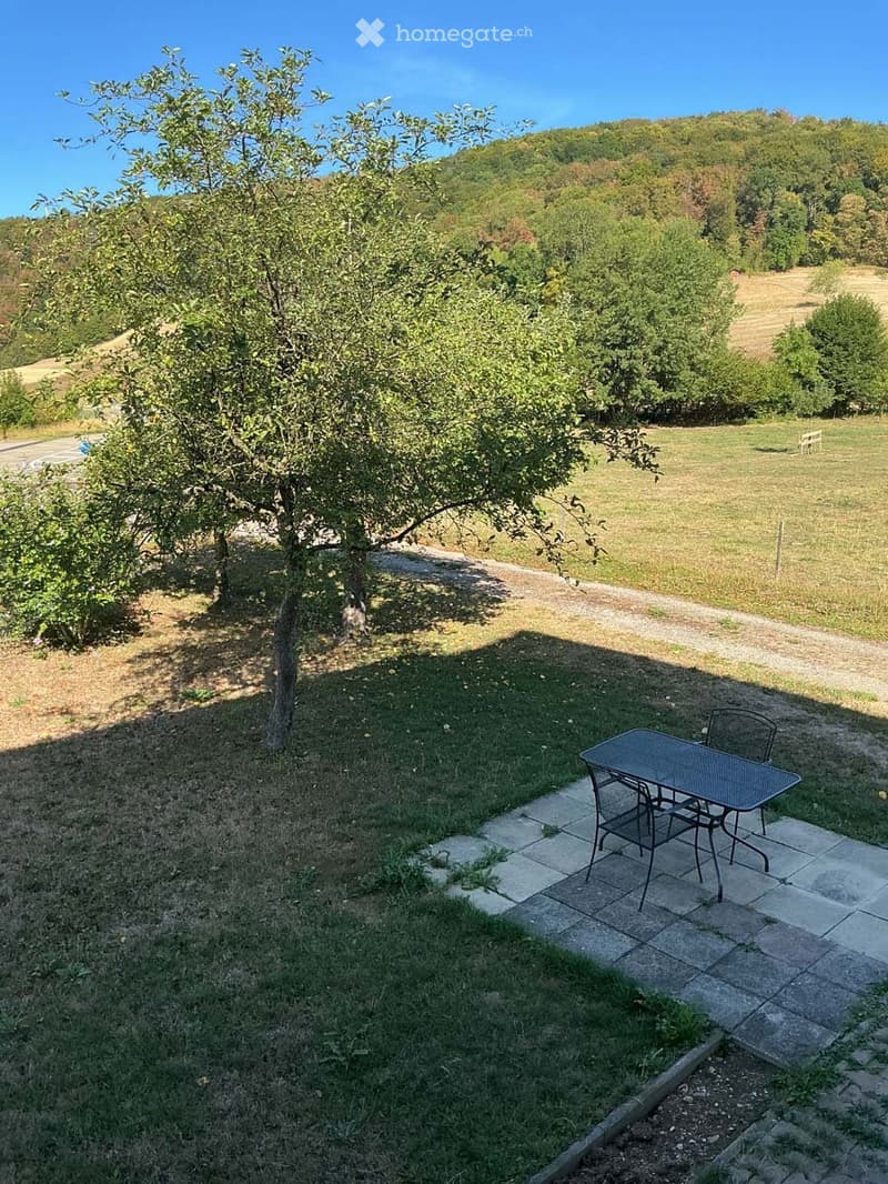 A serene garden area with a stone patio, a small table and chairs, a large tree, and a scenic view of a grassy field and wooded hills in the background.