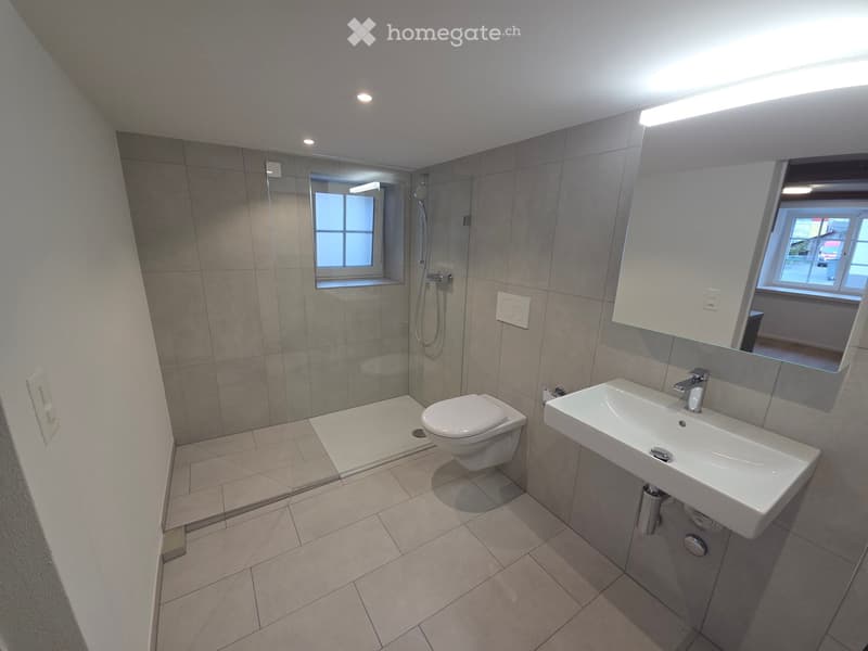 Modern bathroom with a toilet, sink, mirror, and walk-in shower with glass enclosure. Features tiled walls and floor, recessed lighting, and windows providing natural light.