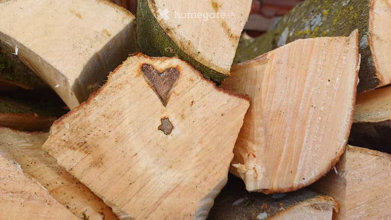 Close-up of cut wood slices with natural grain patterns and knots, showing various shades of brown and beige.