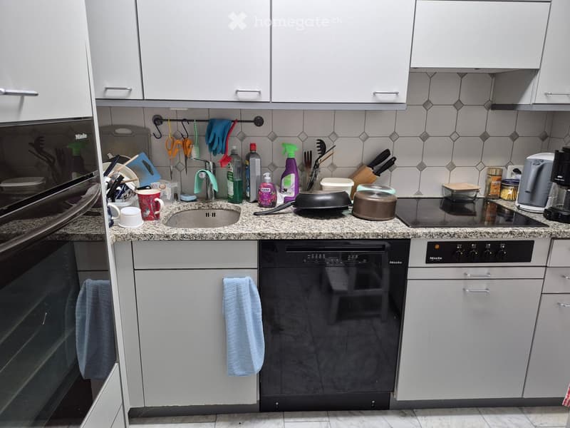 {"type": "Kitchen", "objects": ["sink", "oven", "dishwasher", "coffee maker", "faucet", "oven mitt", "oven gloves", "oven cleaner", "oven cleaner", "oven cleaner", "oven cleaner", "oven cleaner", "oven cleaner", "oven cleaner", "oven cleaner", "oven clean