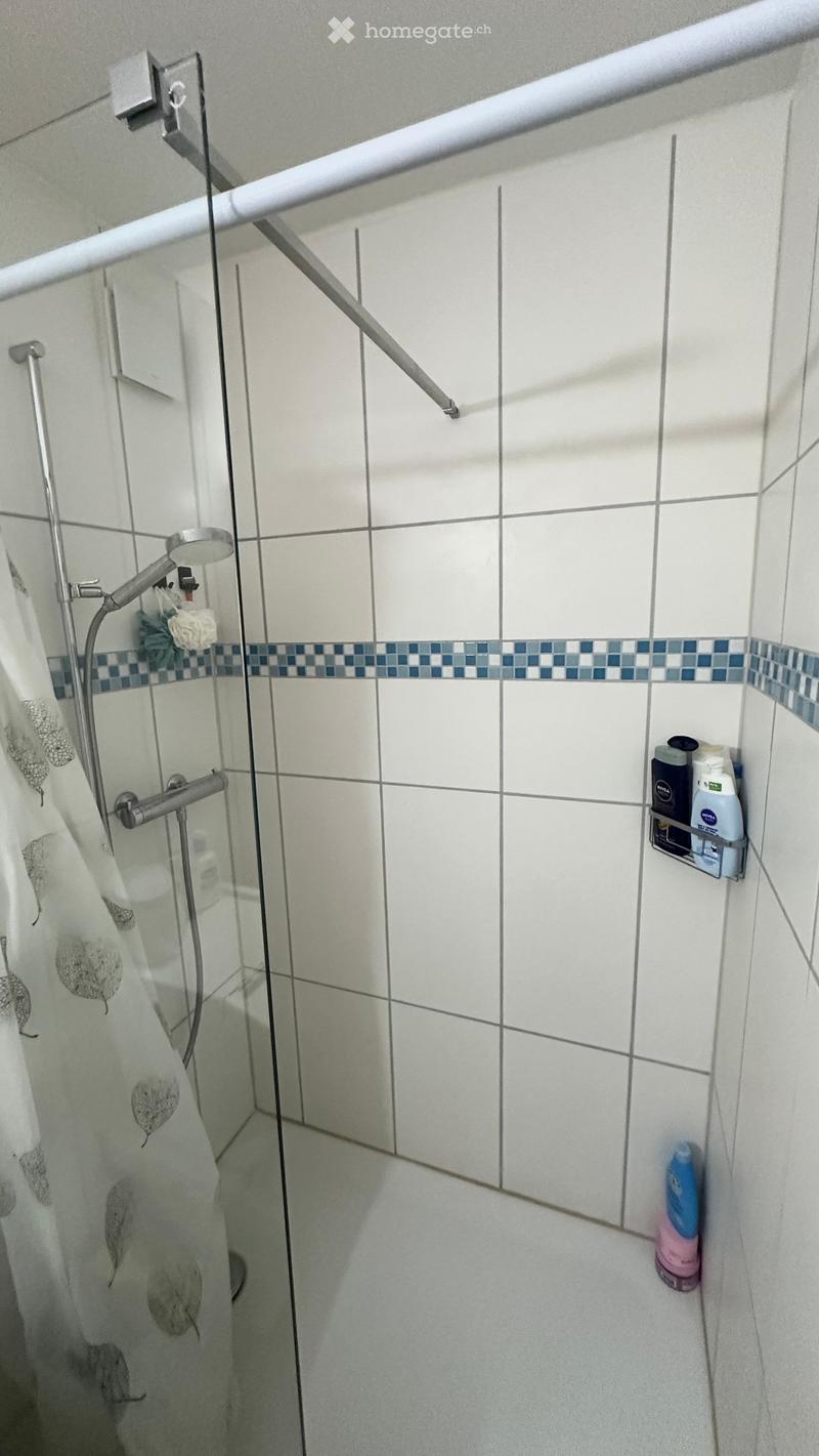 Shower area with white tiled walls, a glass shower enclosure, a showerhead, a shower curtain, and a small shelf holding toiletries.