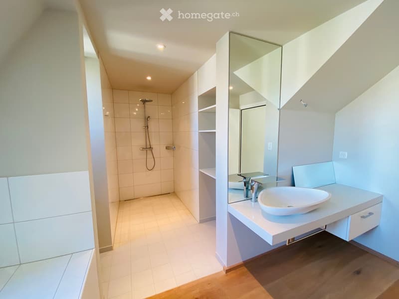 Modern bathroom with a white sink, large mirror, sleek faucet, and a separate shower area with tiled walls and floor.