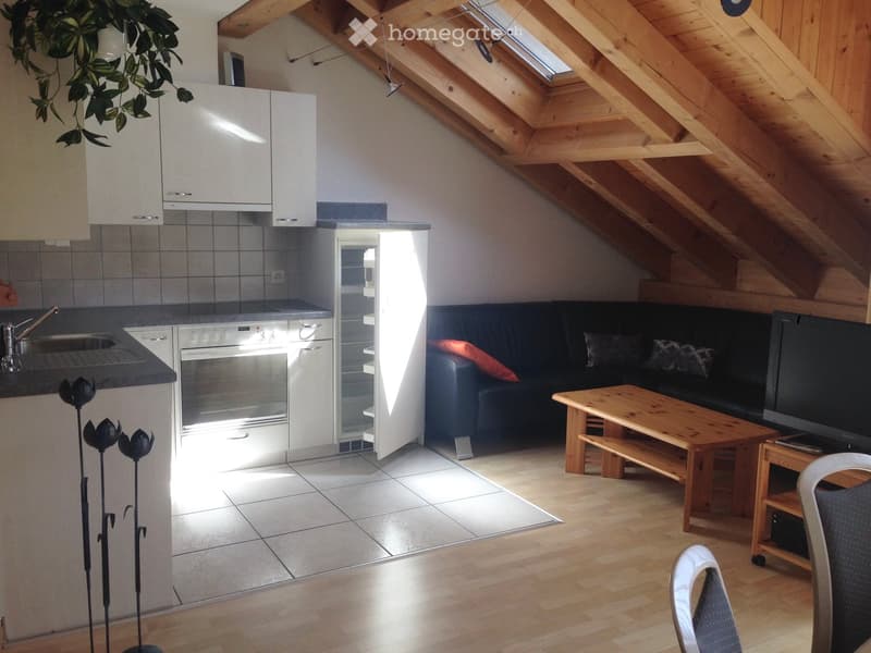 A modern, open-plan living and dining area with a black sofa, wooden coffee table, flat-screen TV, and a compact kitchen featuring white cabinets, a sink, and an oven.