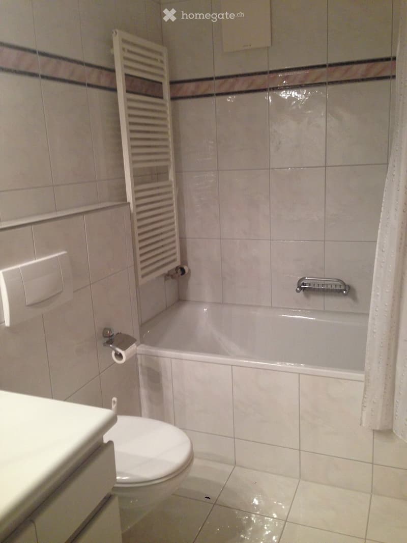 Modern bathroom with white tiles, a toilet, a bathtub, a radiator, a toilet paper holder, and a shower curtain.