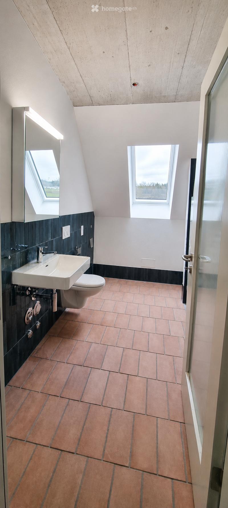 Modern bathroom with a white sink, toilet, and mirror, featuring dark blue tiles on lower walls and warm terracotta tiles on the floor. The ceiling has a wooden slatted design, and there are two skylights providing natural light.