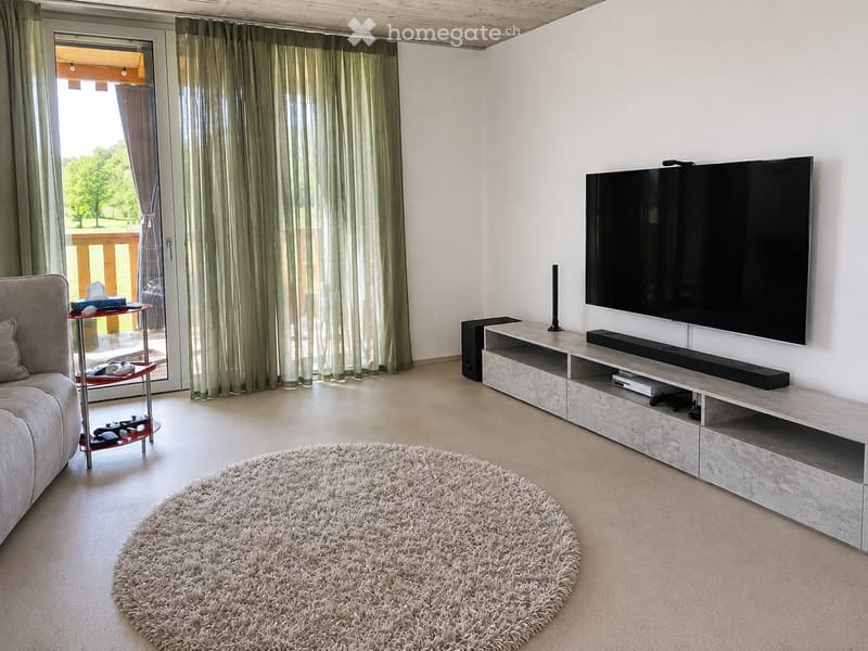 Modern living room with a grey sofa, coffee table, large flat-screen TV on an entertainment unit, and a round shaggy rug.