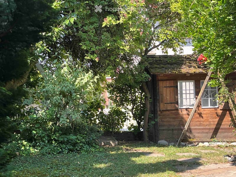 A small wooden shed with a thatched roof is surrounded by lush greenery, including trees and shrubs, in a garden setting.