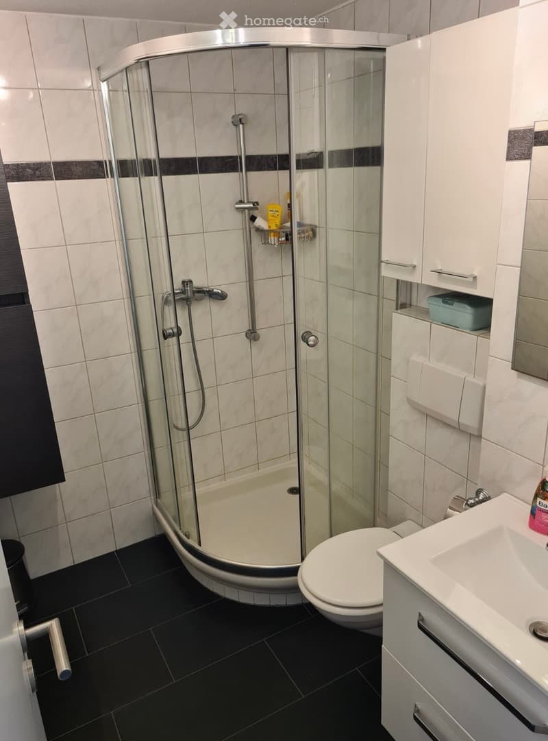 Modern bathroom with a glass-enclosed shower, toilet, sink, and white cabinetry.