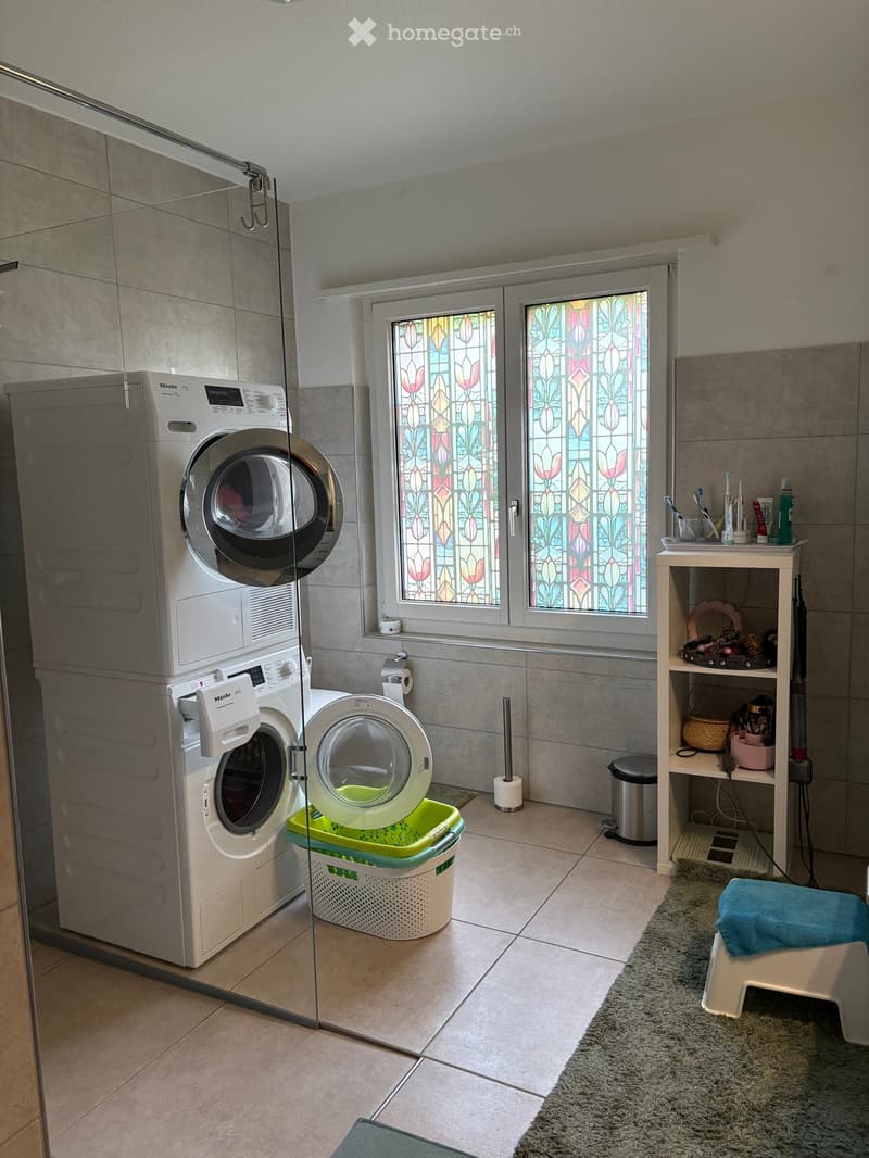 Modern bathroom with a washing machine and dishwasher, a small shelf with toiletries, a stool, and a rug.