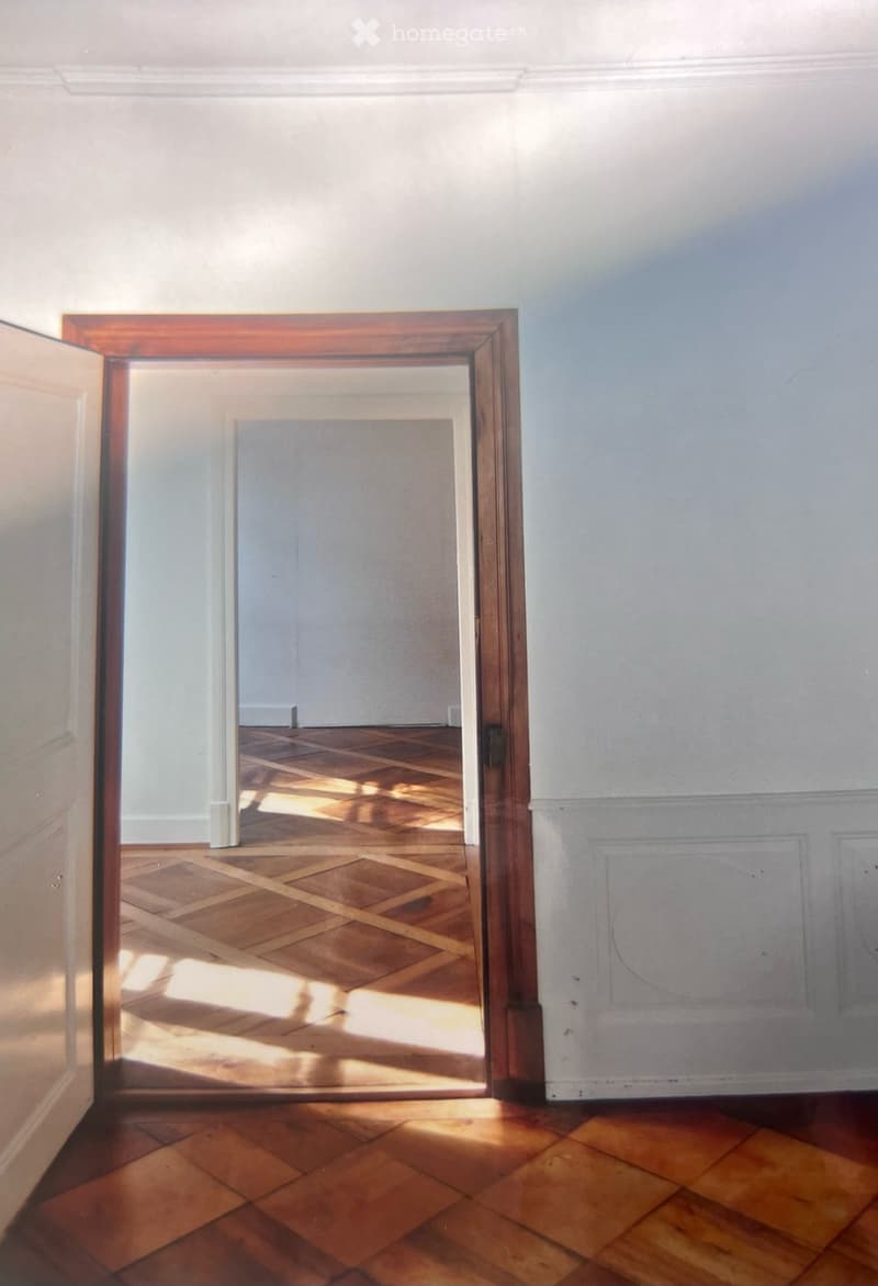 Exklusive 6.5 Zimmer-Wohnung mit historischem Charme in Altdorf UR (9)