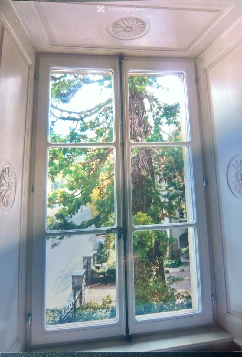 Exklusive 6.5 Zimmer-Wohnung mit historischem Charme in Altdorf UR (10)