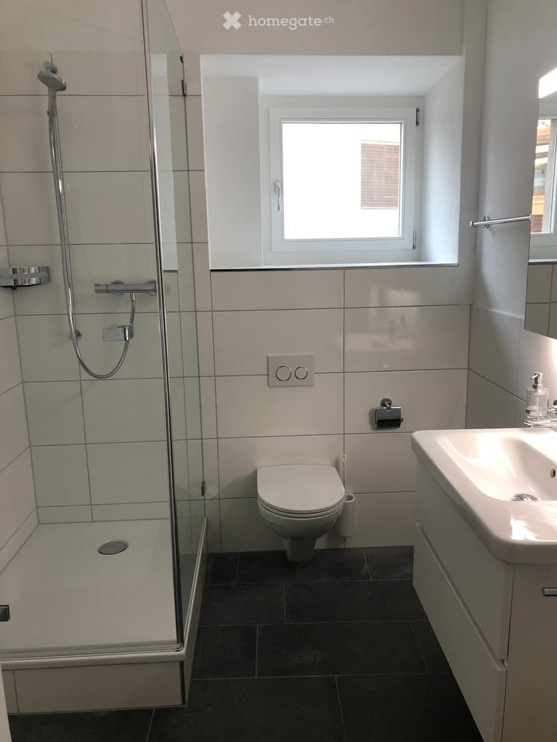 Exklusive 6.5 Zimmer-Wohnung mit historischem Charme in Altdorf UR (4)