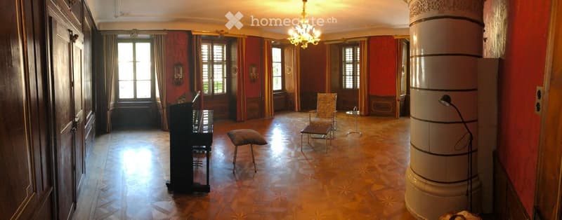 Exklusive 6.5 Zimmer-Wohnung mit historischem Charme in Altdorf UR (7)