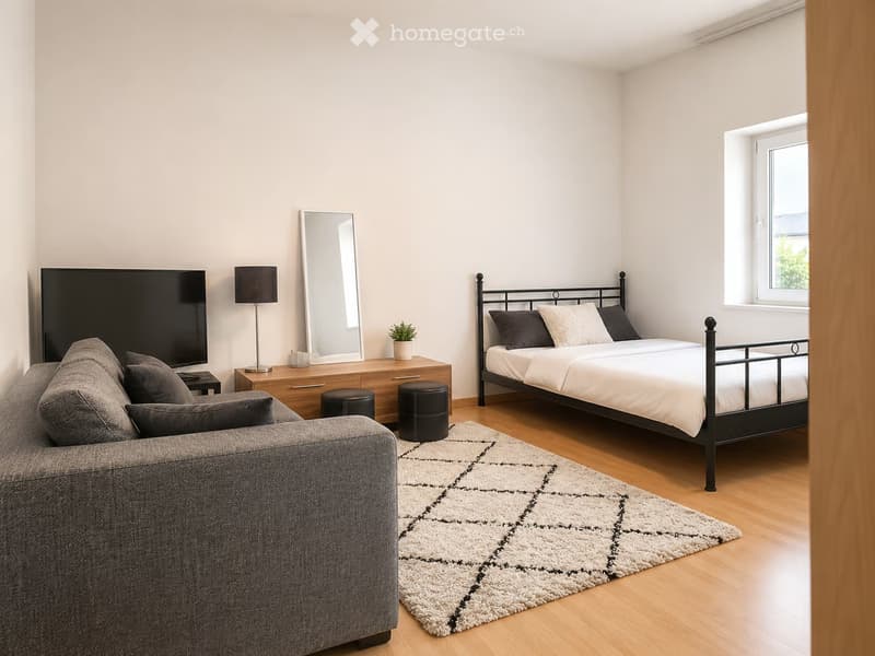Modern bedroom with a grey sofa, a bed with a black metal frame, a large mirror, a lamp, a small table with a plant, and a patterned rug on the wooden floor.