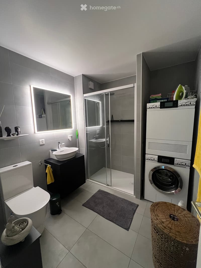 Bathroom. Modern bathroom with a toilet, sink, mirror, shower, and a private washing machine. Features include a wicker basket, a stool, and a towel on the floor.