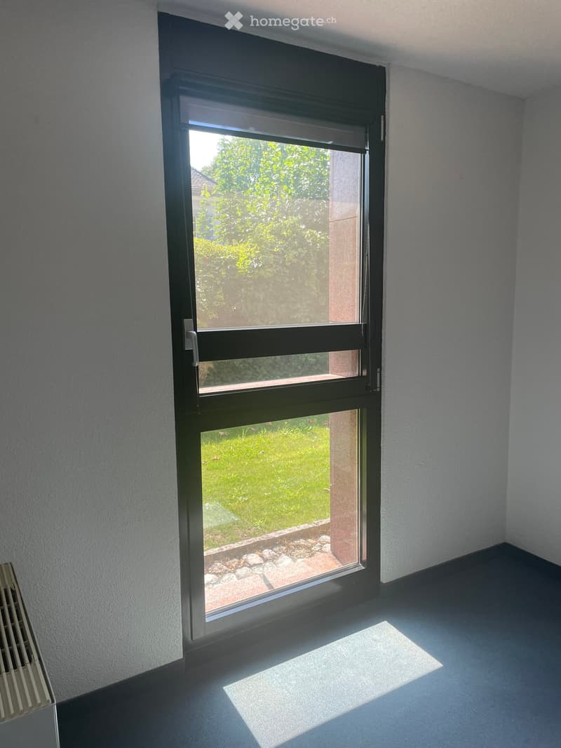 Empty room with light grey walls, blue carpeted floor, and a large window with black frame showing greenery outside.