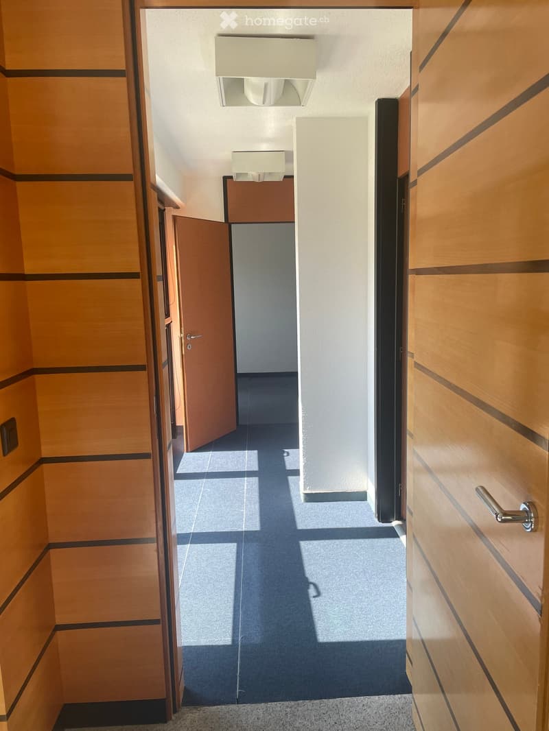 Modern hallway with wooden panel walls, carpeted floor, and recessed lighting fixtures.