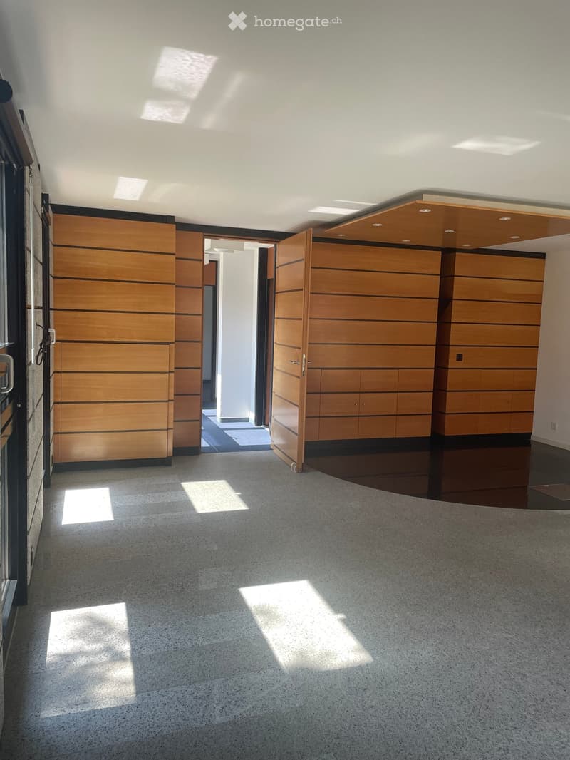 Modern hallway with polished concrete floors, recessed lighting, and wooden panel doors.