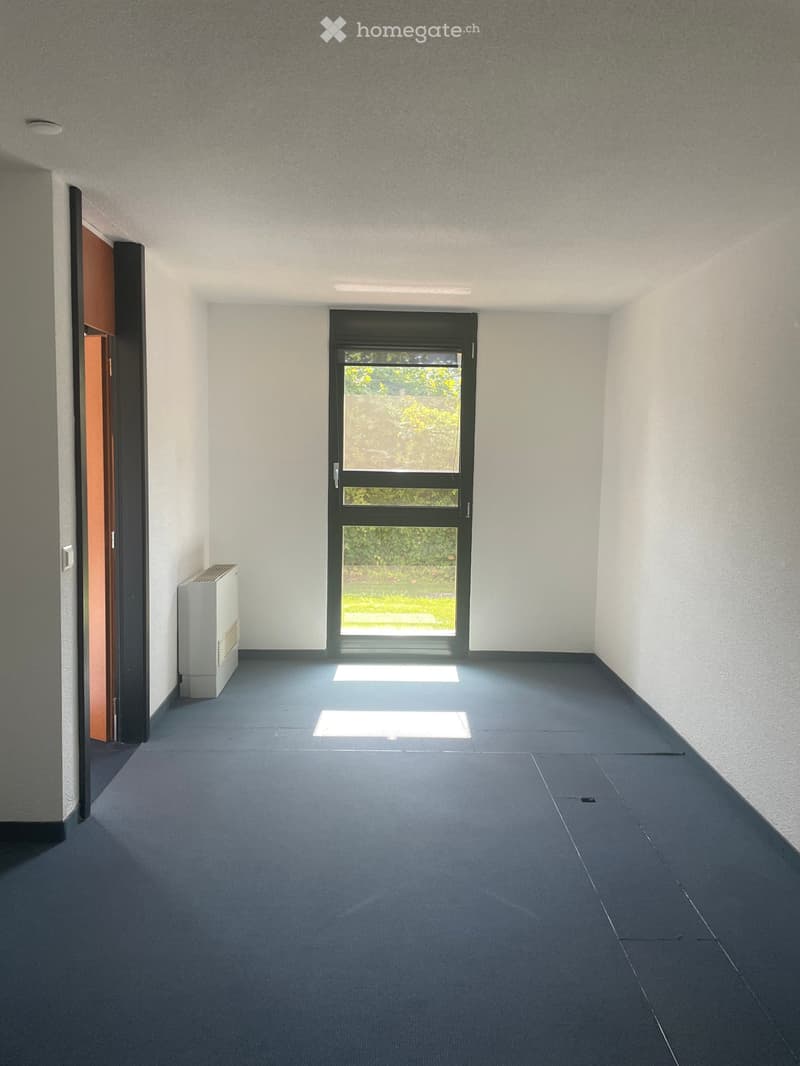 Empty room with grey carpeted floor, white walls, and a large window with black frame showing greenery outside. A white radiator is visible on the left side.