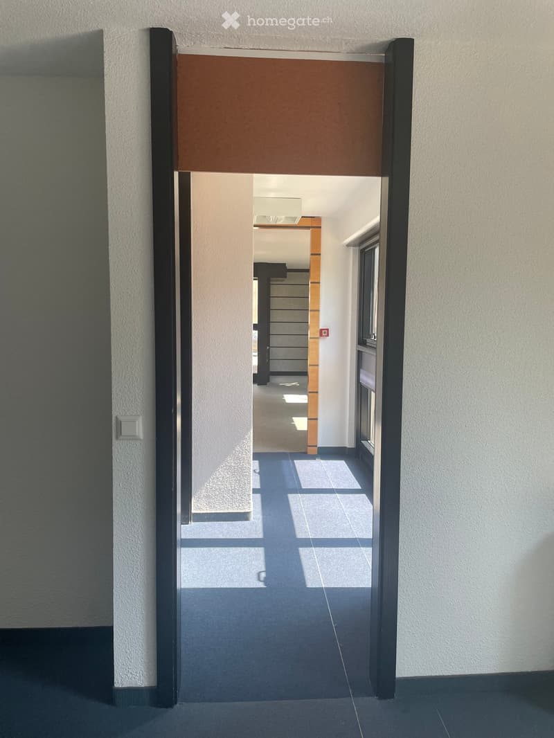 Modern hallway with white walls, dark flooring, and a glass door leading to another area. Features a light fixture and a small window on the right side.
