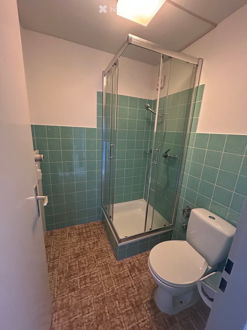 Bathroom with green tiled walls, a glass-enclosed shower, a toilet, and a tiled floor.