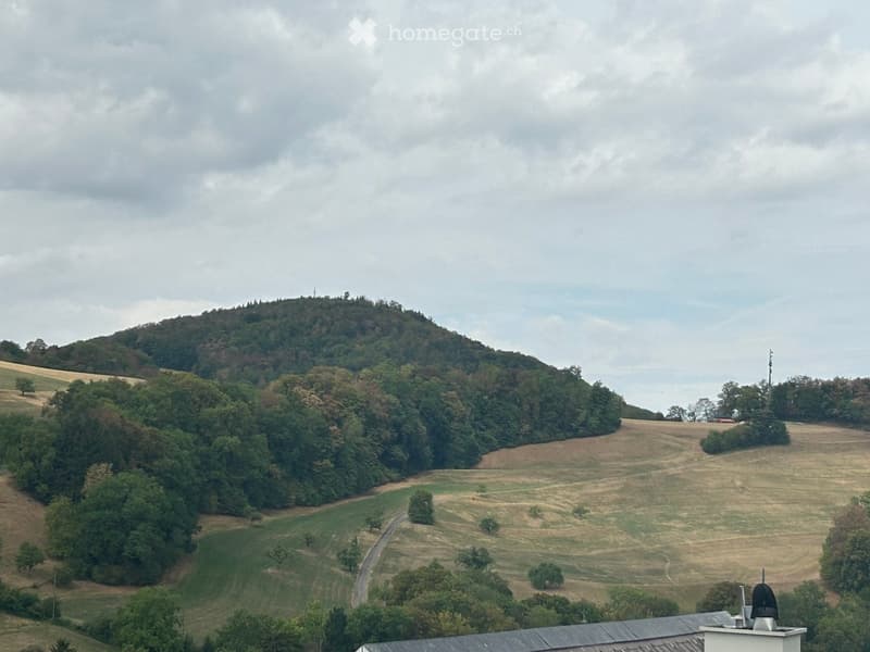 A panoramic view of a rural landscape featuring rolling hills, fields, and scattered trees under a cloudy sky.