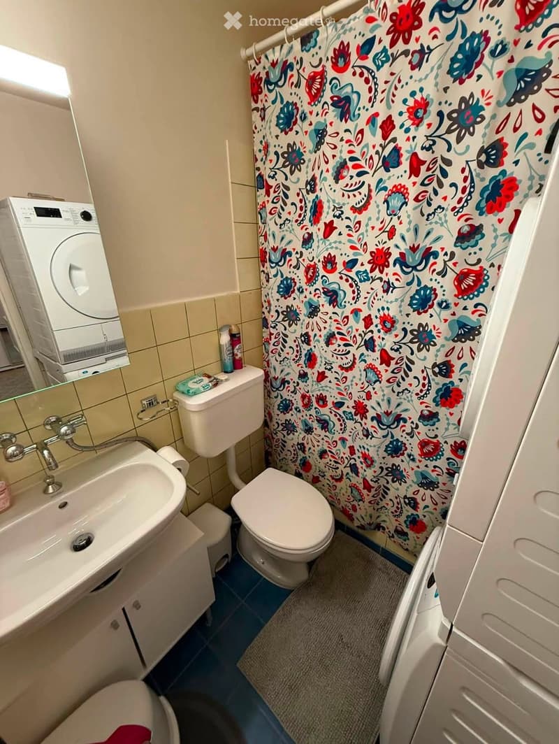 Bathroom with a sink, toilet, shower curtain, washing machine, and a small cabinet.