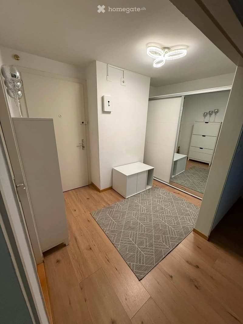 A modern hallway with light wooden flooring, white walls, and a geometric patterned rug. Features include a small white cabinet, a mirror, and built-in storage units.