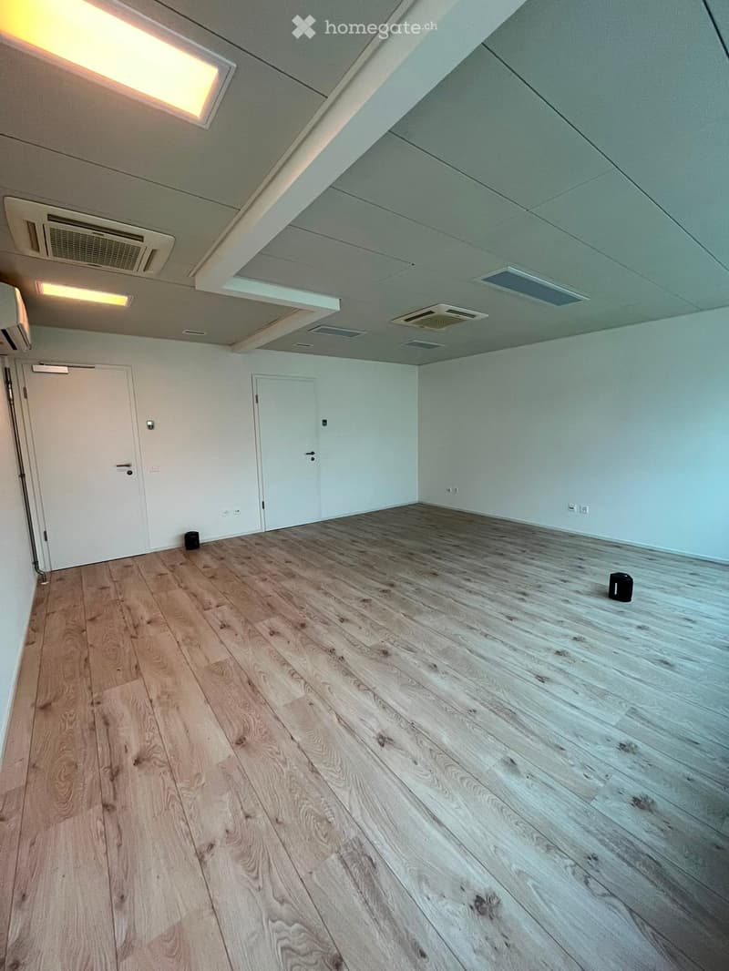 Empty room with light wooden flooring, white walls, and two doors. The ceiling has recessed lighting and air vents.