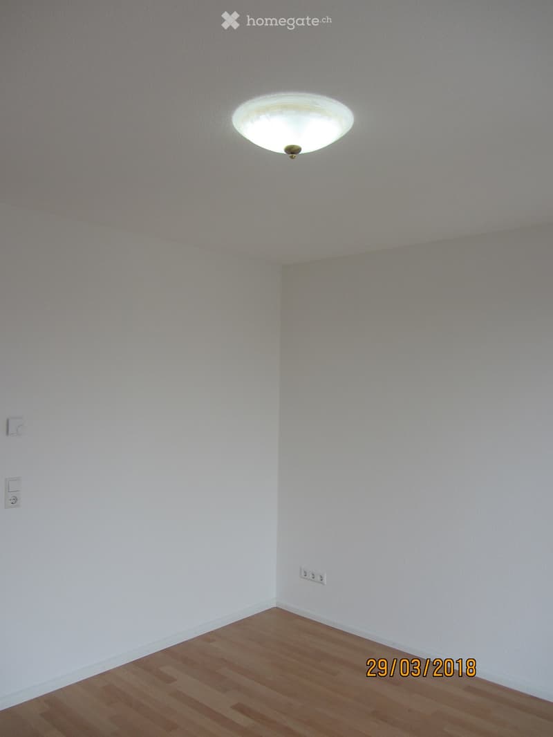 Empty room with light-colored walls, wooden flooring, and a ceiling light fixture.