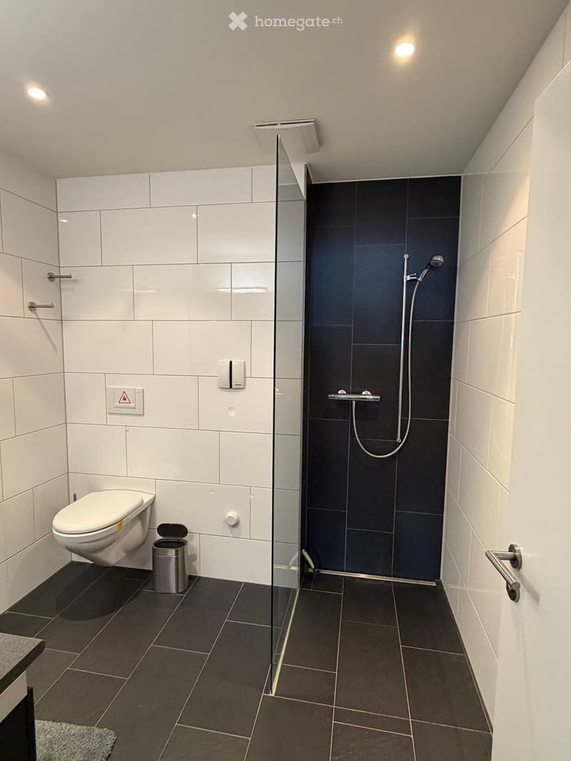 Modern bathroom with white tiled walls, dark tiled floor, glass-enclosed shower, toilet, and trash bin.