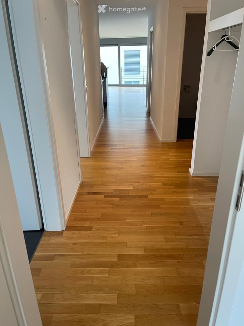 Corridor with wooden flooring, white walls, glass door, wardrobe, hallway light