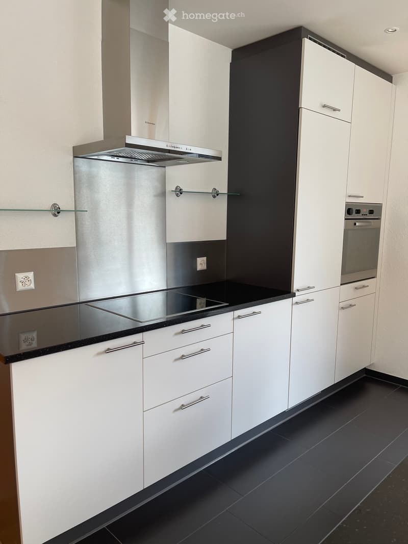 modern kitchen, white cabinets, black countertops, stainless steel appliances, integrated dishwasher, range hood, glass shelves, power outlets