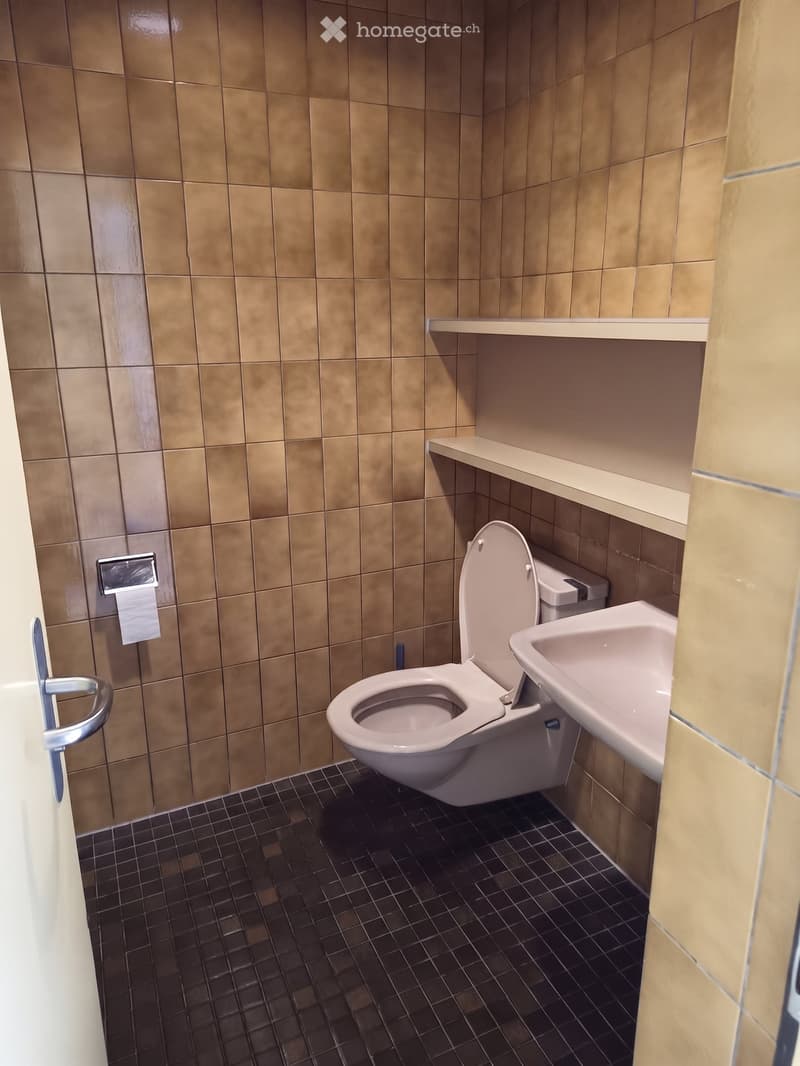 Bathroom with a toilet, sink, and shelf, featuring tiled walls and dark tiled flooring.