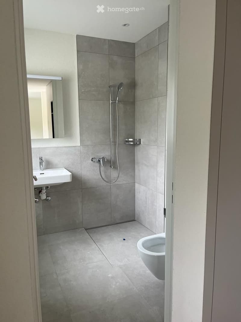 Modern bathroom with grey tiled walls and floor, white sink, mirror, toilet, and shower fixture.