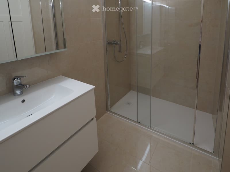 Modern bathroom with a white sink, chrome faucet, mirror, and a glass-enclosed shower with a handheld showerhead.