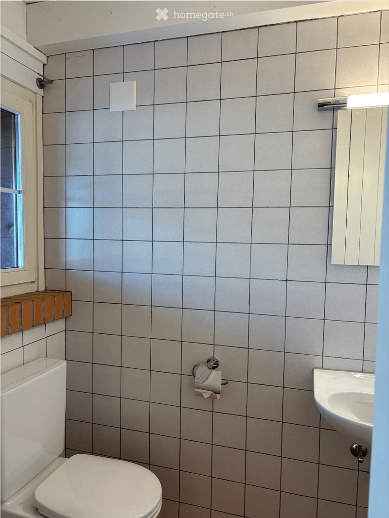 Bathroom with grey tiled walls, white toilet, sink, mirror, and toilet paper holder.