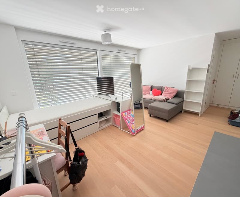 A modern, well-lit room with a sofa, ottoman, mirror, television, bed, chair, bookshelf, and clothing rack. The room features large windows with blinds and a wooden floor.