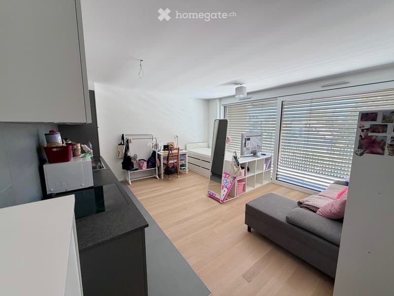 A modern, open-concept living space with a grey sofa, a standing mirror, a desk with a laptop, a small kitchen area, and various storage items.
