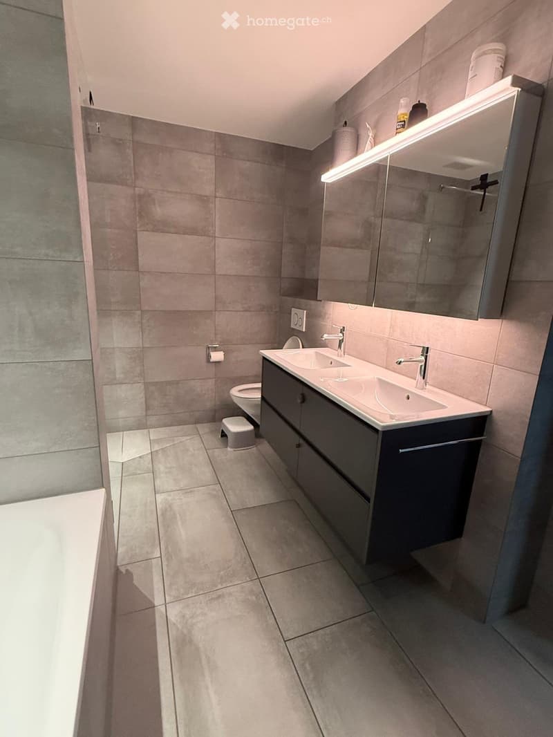 Modern bathroom with grey tiles, double sink vanity, mirror cabinet, toilet, and a small stool.