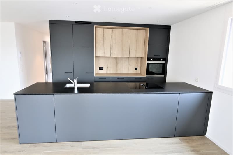 Modern kitchen with grey cabinets, a black countertop, a sink with a chrome faucet, and an integrated oven.