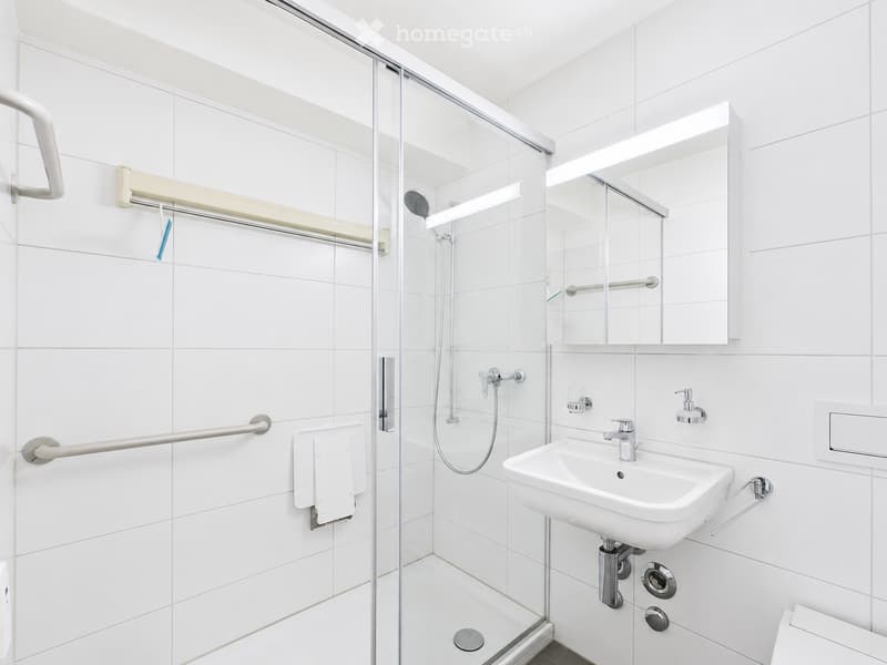 Modern bathroom with white tiles, a glass-enclosed shower, a sink with a mirror, and handrails for accessibility.