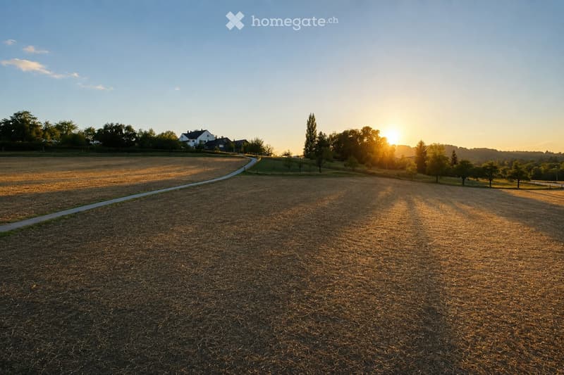 A wide, open field with dry grass and scattered trees, featuring a winding path and distant houses under a clear blue sky with a setting sun.