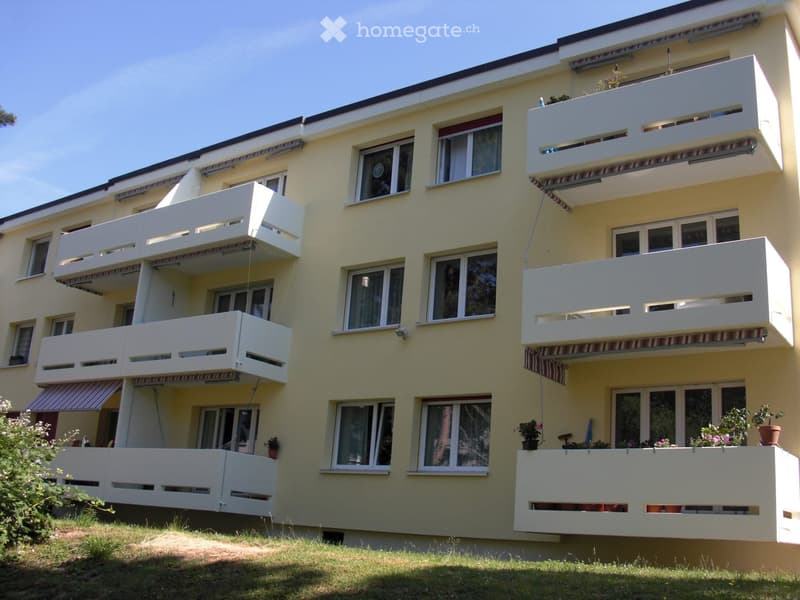 schöne, helle und ruhig gelegene 3 1/2 Zimmerwohnung (2)