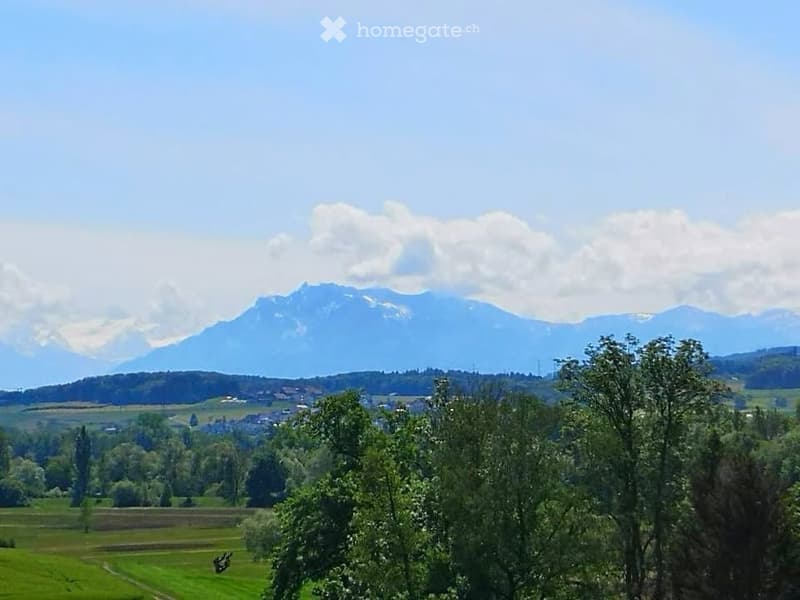 A scenic view of a lush green valley with rolling hills, scattered trees, and a small village nestled among the landscape, with a majestic mountain range in the background under a clear blue sky.