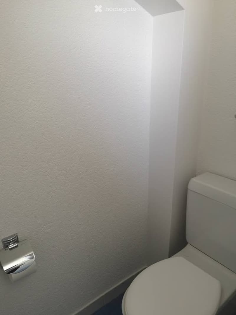 A small, clean bathroom with white walls and a toilet. A silver toilet paper holder is mounted on the wall.